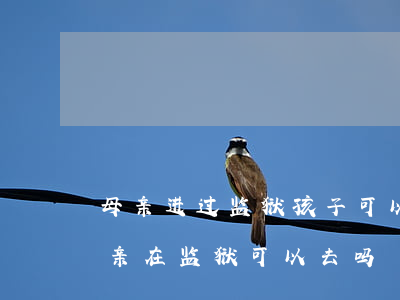 母亲进过监狱孩子可以当律师吗?(女儿结婚父亲在监狱可以去吗)