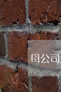 母公司为子公司偿还逾期的债务-