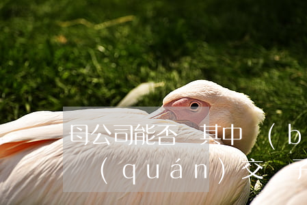 母公司能否將其中標(biāo)的工程全權(quán)交給子公司施工