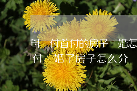 母親付首付的房子離婚怎么分(女方父母付首付,離婚了房子怎么分)