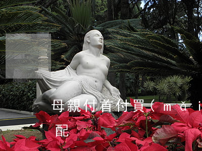 母親付首付買(mǎi)的房子離婚怎么分配