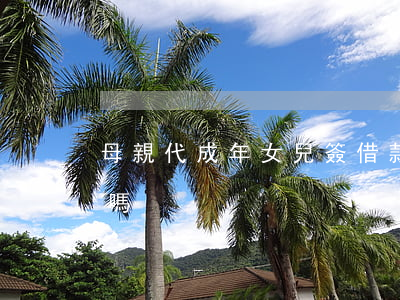 母親代成年女兒簽借款協(xié)議有效嗎