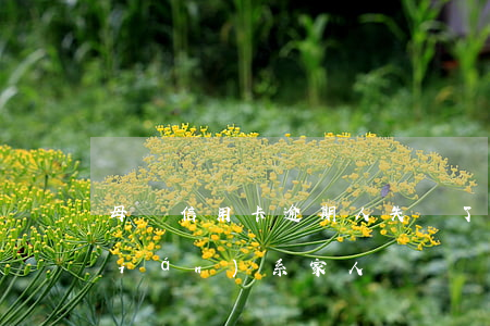 母親信用卡逾期人失蹤了(信用卡逾期聯(lián)系家人)