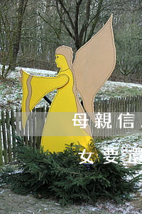 母親信用卡逾期影響子女嗎(母親欠信用卡子女要還嗎)