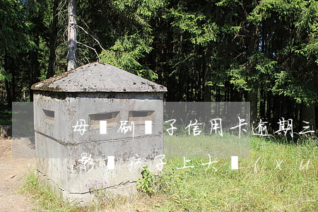 母親刷兒子信用卡逾期三年-母親欠信用卡影響孩子上大學(xué)嗎