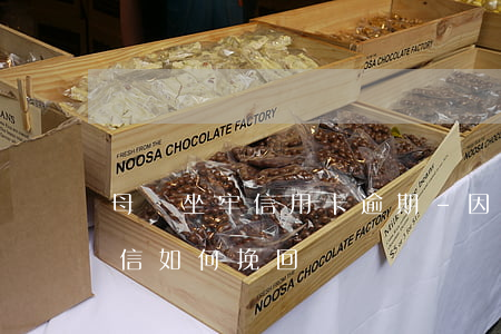 母親坐牢信用卡逾期-因坐牢信用卡逾期征信如何挽回