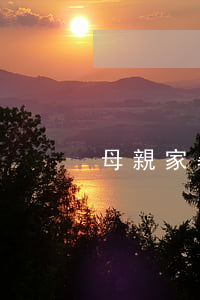 母親家暴離婚了怎么辦