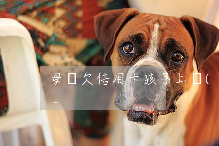 母親欠信用卡孩子上學(xué)有影響嗎-