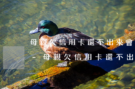 母親欠信用卡還不出來會(huì)怎么樣-母親欠信用卡還不出來會(huì)怎么樣嗎