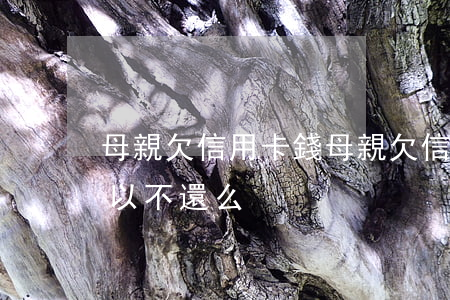 母親欠信用卡錢(母親欠信用卡錢賭博子女可以不還么)