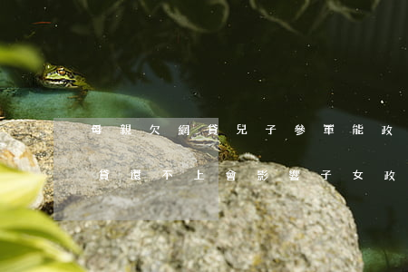 母親欠網貸兒子參軍能政審過關嗎(父親借網貸還不上會影響子女政審嗎)