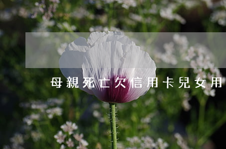 母親死亡欠信用卡兒女用償還嗎-