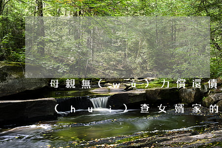 母親無(wú)力償還債務(wù)法院會(huì)查女婿家的財(cái)產(chǎn)嗎-母親無(wú)力償還債務(wù)法院會(huì)查女婿家的財(cái)產(chǎn)嗎