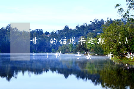 母親的信用卡逾期會(huì)不會(huì)影響子女-母親的信用卡逾期會(huì)不會(huì)影響子女政審