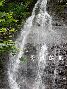 母親的股票怎么繼承