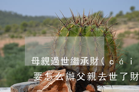 母親過世繼承財(cái)產(chǎn)要怎么辦(父親去世了財(cái)產(chǎn)應(yīng)該由母親繼承嗎)