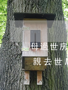 母過世房產(chǎn)兩子怎么繼承(父母親去世后房產(chǎn)繼承)