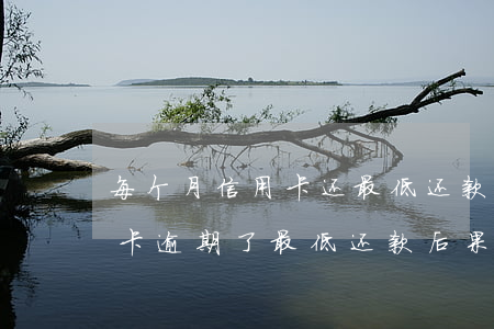 每个月信用卡还最低还款额算是逾期吗（信用卡逾期了最低还款后果）