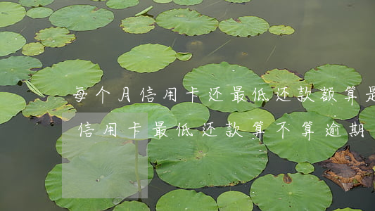 每个月信用卡还最低还款额算是逾期吗（孕妇信用卡最低还款算不算逾期）