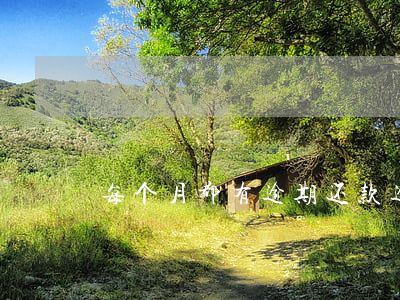 每个月都有逾期还款(逾期一个月还款的后果)