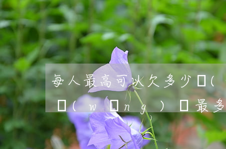 每人最高可以欠多少網(wǎng)貸(個人網(wǎng)貸最多能貸多少)