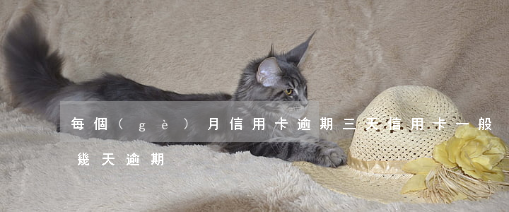 每個(gè)月信用卡逾期三天（信用卡一般幾天逾期）