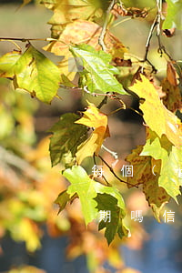 每個(gè)月信用卡還最低還款額算是逾期嗎（信用卡逾期還完最低還款可以么）