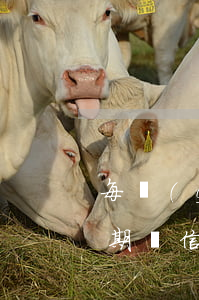 每個(gè)月逾期還款算累計(jì)逾期嗎（信用卡逾期后每月還款怎么算）