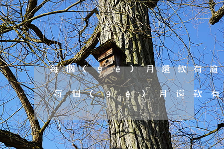 每個(gè)月還款有逾期記錄怎么回事-每個(gè)月還款有逾期記錄怎么回事啊