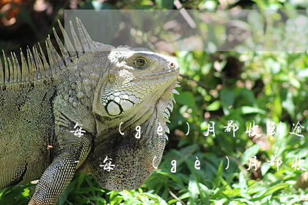 每個(gè)月都收到逾期短信是怎么回事-每個(gè)月都收到逾期短信是怎么回事啊