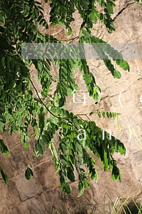 每個(gè)網(wǎng)貸欠一萬(wàn)(欠網(wǎng)貸一萬(wàn)塊錢算多嗎)