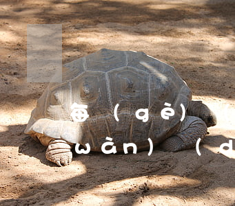 每個(gè)網(wǎng)貸欠了一萬(wàn)點(diǎn)會(huì)不會(huì)坐牢-每個(gè)網(wǎng)貸欠了一萬(wàn)點(diǎn)會(huì)不會(huì)坐牢呢