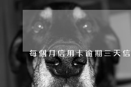 每個月信用卡逾期三天（信用卡忘記逾期一周）