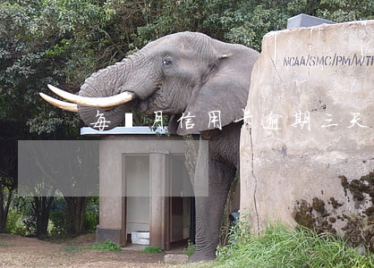每個月信用卡逾期三天（信用卡賬戶逾期4天）