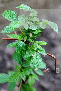 每個月信用卡還最低還款額算是逾期嗎（信用卡只還最低還款算是逾期嗎）