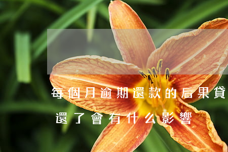 每個月逾期還款的后果(貸款經常逾期但是都還了會有什么影響)