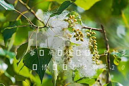 每個用戶借唄還款日都是20號嗎-每個用戶借唄還款日都是20號嗎為什么