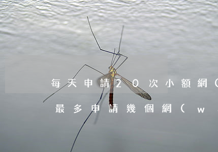 每天申請20次小額網(wǎng)貸(一天最多申請幾個網(wǎng)貸)