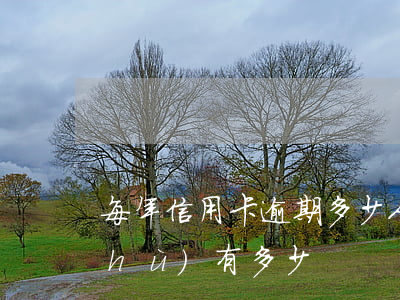 每年信用卡逾期多少人(信用卡逾期人數(shù)有多少)