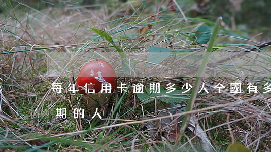 每年信用卡逾期多少人 全國有多少信用卡逾期的人