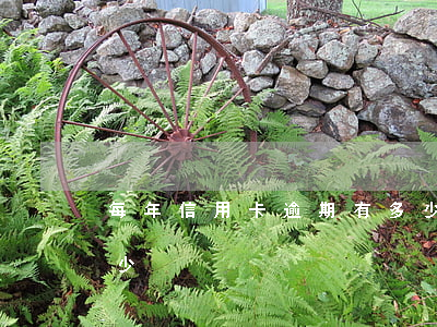 每年信用卡逾期有多少(每年信用卡逾期有多少)