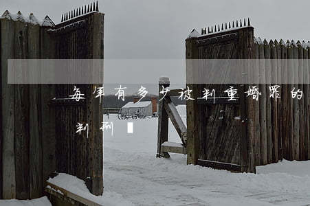每年有多少被判重婚罪的(重婚罪雙方都會被判刑嗎?)
