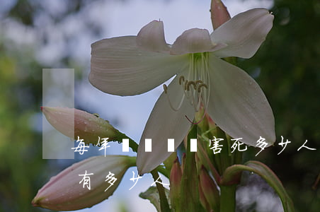每年無證駕駛害死多少人(中國無證駕駛大概有多少人)