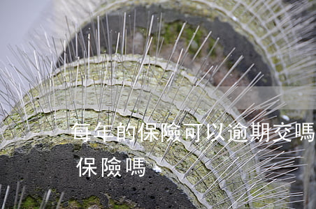 每年的保險可以逾期交嗎（逾期能買幾十塊的保險嗎）