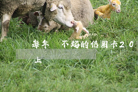 每年還不起的信用卡(2021年信用卡還不上)