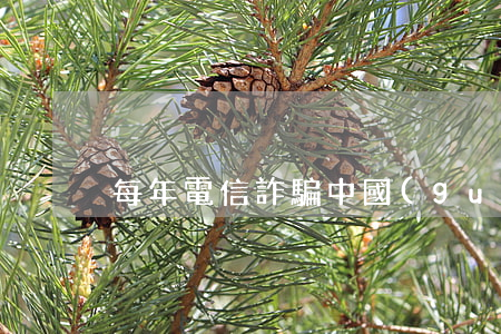 每年電信詐騙中國(guó)多少錢