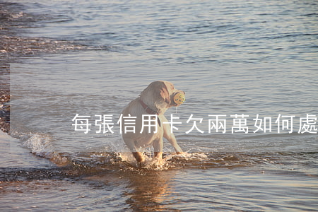 每張信用卡欠兩萬，如何處理？