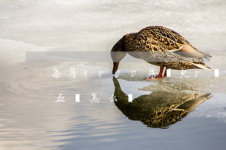 每月3500房貸欠5萬信用卡(欠信用卡四五萬怎么辦)