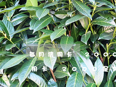 每月信用卡還2000是欠了多少-每月信用卡還2000是欠了多少錢