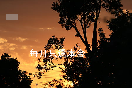 每月只還本金